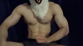Gay Porn 15